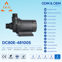 Pompe à eau submersible sans balais ZKSJ DC 12V 24V 48V 8000 L/H 10M de hauteur de refoulement avec contrôle de vitesse PWM, fabrication sur mesure