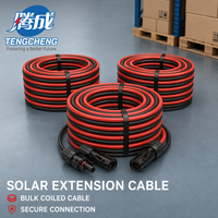 Kabel Ekstensi Tembaga Berlapis Timah XLPE Industri IP67 1KV/1.5KV 1M/2M/3M/5M untuk Panel Surya 2.5mm/4mm/6mm Konektor MC 30A
