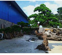 Arbres en plastique de cèdre japonais et de pin en gros, arbres artificiels en fibre de verre de grande taille, forme unique pour la décoration