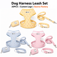 Ensemble Harnais et Laisse Réfléchissant Rembourré Personnalisé pour Chien – Gilet Anti-Traction Réglable pour Promenades en Extérieur – Lot de Harnais pour Chiens en Gros