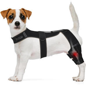 ठोस पैटर्न पर्यावरण के अनुकूल डाइविंग सामग्री पालतू घुटने के ब्रेस शीतकालीन सुरक्षात्मक कुत्ते पट्टी हिंड पैर की चोट रिकवरी पोस्टऑपरेटिव - Product Image 2