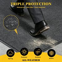 Tapis d'entrée personnalisé à double bande avec logo, usine OEM, PVC TPE antidérapant, commercial, échantillon gratuit