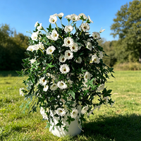 Panier de fleurs suspendu artificiel en eucalyptus et gloire du matin pour la décoration de printemps de la porte d'entrée et du porche