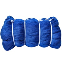 China-Preis: Kaufen Sie blaue, knotenlose Raschel-Fischernetze aus Nylon-Polyester (210D/15PLY) für den afrikanischen Markt