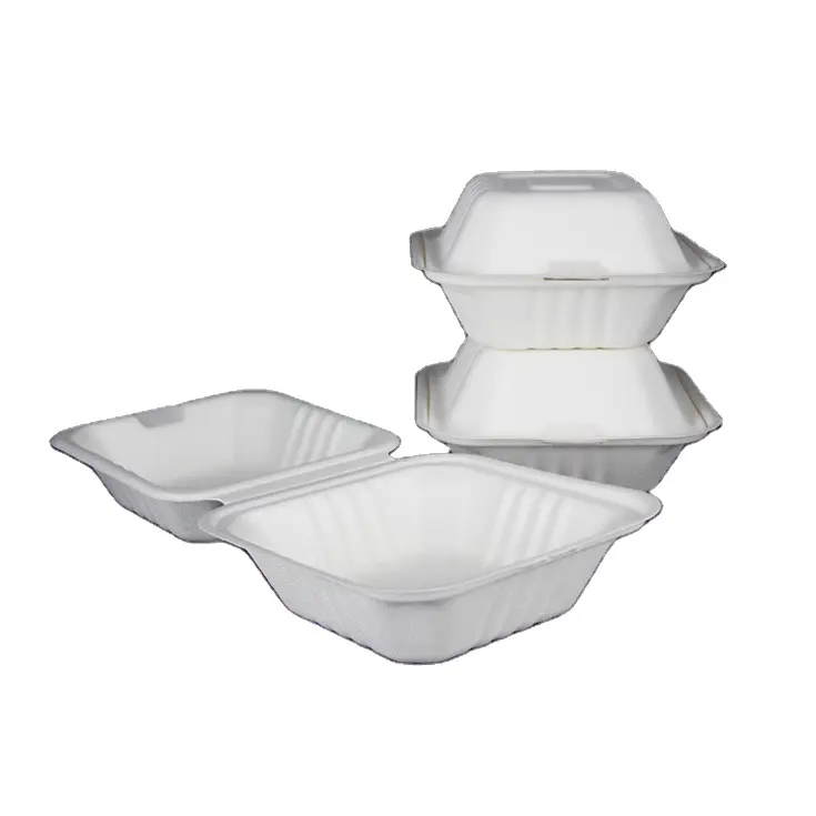 bagasse plates combo box burger food oval plate biodigradable disposable over the world