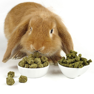 Cubi di fieno per conigli Timothy fieno per cavia giocattoli da masticare e dolcetti di coniglio per coniglietti giocattolo con cibo cincillà - Product Image 5