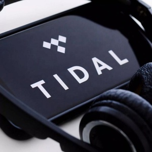 สมัครสมาชิก Tidall Premium ฟังเพลง Tidall บัญชีสมาชิก Tidall Hifi Plus 1 3 6 12 เดือน - Product Image 2