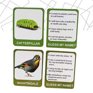 Tarjetas de Memoria Flash de Aves e Insectos para el Aprendizaje de los Niños, Tarjetas de Identificación de Aves e Insectos para Niños de la India - Product Image 3