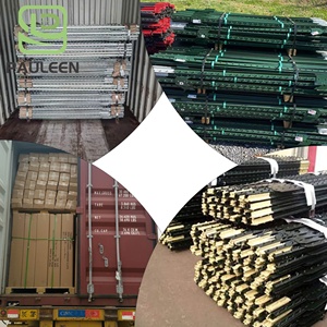 Poteau en T en acier vert à clous de 6 à 10 pieds, prix d'usine en gros, pour clôtures de ferme et de jardin aux États-Unis, clous robustes, clous à clous pour le <span class=keywords><strong>Canada</strong></span> - Product Image 5