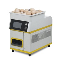 Machine à frire électrique automatique commerciale intelligente pour œufs mollets, durs, pochés, omelettes