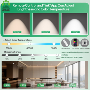 Downlights <span class=keywords><strong>LED</strong></span> Empotrables de Aluminio Modernos y Minimalistas de 9W, 10W, 12W y <span class=keywords><strong>24W</strong></span>, Duraderos, con Alto CRI e IP65 - Product Image 5