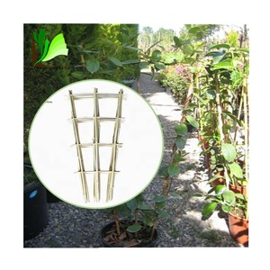Treillis central en bambou, différents Design, pour pépinière, plantes grimpantes - Product Image 1