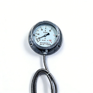 WTZ 280 <span class=keywords><strong>Thermometer</strong></span> Nanyang Huaye Zhang Heng - Product Image 6