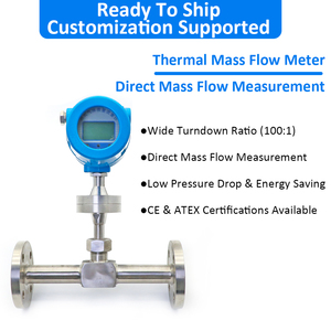 เครื่องวัดอัตราการไหลของก๊าซแบบใช้ความร้อนสแตนเลส Consult Now II สำหรับอากาศอัด ก๊าซธรรมชาติ ไฮโดรเจน และออกซิเจน ความแม่นยำ 1.5% - Product Image 2