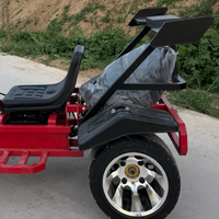 Kart électrique 2 places personnalisé OEM Chine, pour adultes, avec suspension indépendante sur 4 roues, buggy électrique de course pour divertissement extérieur