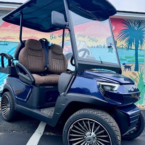 GRAN OFERTA Carro de Golf AtlaSS LSV Premium de 4 Asientos, Color Azul, Diseño de Lujo, Listo para Circular - Product Image 1