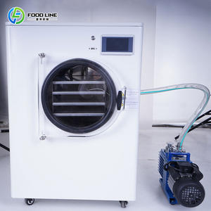 جهاز التجفيف بالتجميد، مجفف تفريغي، آلة تجفيف العسل المجفف بالتجميد، جهاز تجفيف الطعام بالتجميد - Product Image 5