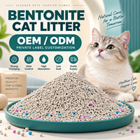 Litière pour chat en sable de bentonite de sodium écologique de qualité supérieure 10 kg, biodégradable, en forme de boule, faible teneur en poussière, hautement absorbante, agglomération rapide, anti-odeurs