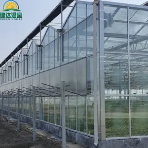 Fabricants de serres agricoles multi-span de Chine Grande serre hydroponique en verre de type Venlo de Chine