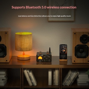 Amplificateur Stéréo FM 2 Canaux Professionnel SMART02 en Alliage d'Aluminium avec Lecteur USB, Petite Puissance, pour Passionnés HIFI - Product Image 1