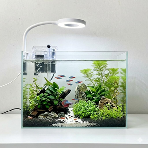 Ensemble de petit aquarium en plastique écologique pour table, pour une utilisation en extérieur et dans la salle à manger, avec lumière et filtre - Product Image 1