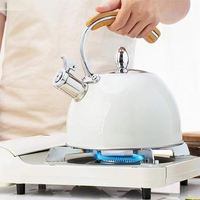 Bouilloire pour cuisinière à gaz, bouilloire à eau en acier inoxydable, bouilloire à café, théière, bouilloire à eau chaude pour cuisinière, sifflet