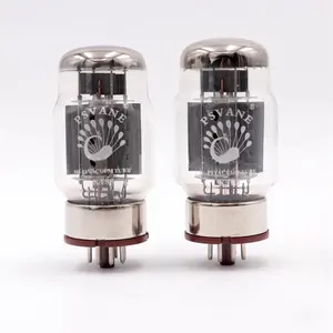 T-010 Cocok dengan Sepasang Pipa Vakum PSVANE KT88 Pengganti 6550 untuk Amplifier Tabung Antik Audio Hifi DIY Diuji Oleh Pabrik