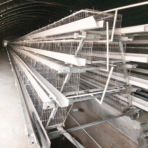 Système de cages en batterie en acier galvanisé de type A pour poules pondeuses, très demandé sur le marché africain, pour fermes avicoles - Product Image 1