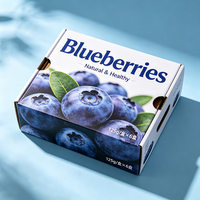 Groothandel Blauwe Bosbessen Verpakkingsdoos met Handvat Waterdichte Golfkartonnen Fruit Geschenkdozen 125g/doos