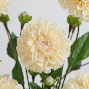 Venta al por mayor de fábrica: Dalia artificial de tacto real con 2 cabezas, 75 cm, suministro a granel para bodas, floristerías, decoración de hogar, jarrones y mesas. - Product Image 4