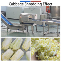 FTS-168 Automatische Groente- en Fruit Snijmachine 380V Motor PLC Besturing voor Salade Sla Komkommer Bloemmolen Gebruik