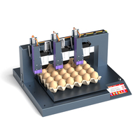 Codificador de Huevos Digital Automático de Alta Resistencia, Impresora de Inyección de Tinta de 3 Cabezales, Máquina de Alta Productividad para Granjas Avícolas a Gran Escala