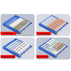 TUOYUN Precio <span class=keywords><strong>sorpresa</strong></span> Incubadoras de pollos <span class=keywords><strong>Huevos</strong></span> para incubar Incubadora automática de <span class=keywords><strong>huevos</strong></span> Ac Dc 250 hasta 300 - Product Image 2