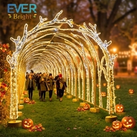 Arche lumineuse LED personnalisable pour extérieur, tunnel décoratif pour Halloween, Noël, festivals et aménagements paysagers