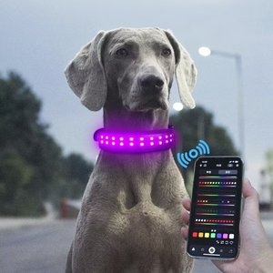 APP per il controllo dello Smart Phone con fibbia e spilla per la luce del collare per animali domestici con collare luminoso per cani che cammina il cane di notte - Product Image 5