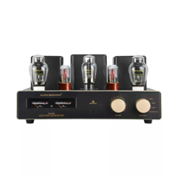 Veteran Serisi Pure Classic 300B Hi-Fi Tüp Amplifikatörü, Ev Eğlencesi için Tüp Koruyucu Kılıflı