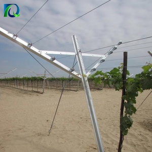 Bán Buôn Giá Rẻ Dễ Dàng Cài Đặt Góc Thép Y Hình Nho Mở Gable Lưới Mắt Cáo Cho Vườn Cây Ăn Quả Vườn - Product Image 3