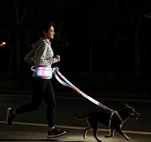 Minimalist Corduroy <b>Dog</b> Collar Leash Harness Set 5 Uses With Bibs Poop Bag Wholesale - Product Image 1
