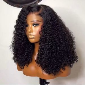 批发黑色精灵卷发假发，全密度300%，雷米越南发，蕾丝前额假发，透明蕾丝底，漂白结 - Product Image 1