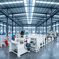 Ligne d'extrusion de feuilles de PET monocouche à double vis parallèle co-rotative pour thermoformage RPET APET PETG