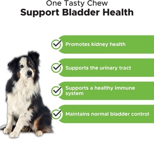 Mastication douce de canneberges de marque personnalisée pour chiens-supplément de bien-être des reins, de la <span class=keywords><strong>vessie</strong></span> et des voies urinaires-Booster naturel du système immunitaire - Product Image 5