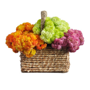 Bayas de Arroz de Gel Suave Artificiales, Suculentas, Plantas Artificiales para Arreglos de Terrarios, Accesorios de Fotografía, Decoración del Hogar - Product Image 5