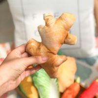 Peluches imprimées de légumes et de nourriture, jouets en forme d'émulsion, chiens et chiots, en solde, nouvelle collection