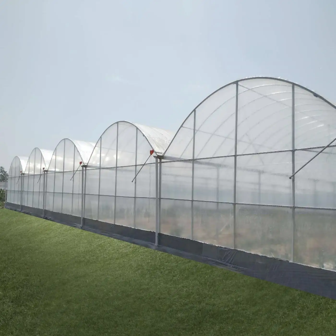 खेती ग्रीनहाउस मल्टी-स्पैन कृषि ग्रीनहाउस प्लास्टिक फिल्म ग्रीनहाउस