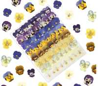 Fleurs séchées pressées de primulas et de violonelles de couleurs mélangées pour la fabrication de bijoux, boucles d'oreilles, colliers, pendentifs et fournitures d'artisanat