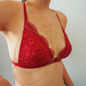 سلسلة جسم من الفولاذ المقاوم للصدأ بتصميم بوهيمي غربي عصري للسيدات، سلسلة متعددة الطبقات، ملابس داخلية مثيرة، هدية للحفلات - Product Image 6