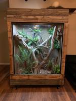 Rehausseurs de buffet en acrylique pliables, modernes, respirants et écologiques pour présentoir personnalisable