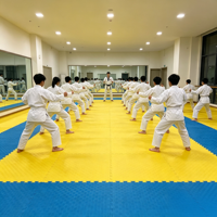 . Tapete de Espuma EVA Impermeable de 100x100cm, Tapete Antideslizante para Gimnasio, Absorción de Impactos, Piso Encastrable, Venta al Por Mayor Directo de Fábrica