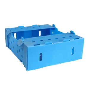 Cartón Plástico PP Reciclable para Cajas de Plástico Corrugado para Empacar Okra y Espárragos, Impermeable, Duradero, Corte a Medida - Product Image 3