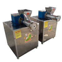 Machine à fabriquer des macaronis et des spaghettis automatique à haute efficacité 150 kg/h, extrudeuse à pâtes à vendre